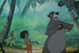 film_LivreJungle_17.jpg