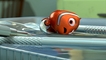 film_MondeDeNemo_26.jpg