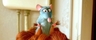 film_Ratatouille_23.jpg
