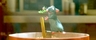 film_Ratatouille_28.jpg